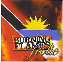 BURNING FLAMES-FROLIC