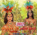 Jiggle It Hot Carnival Hits 2012